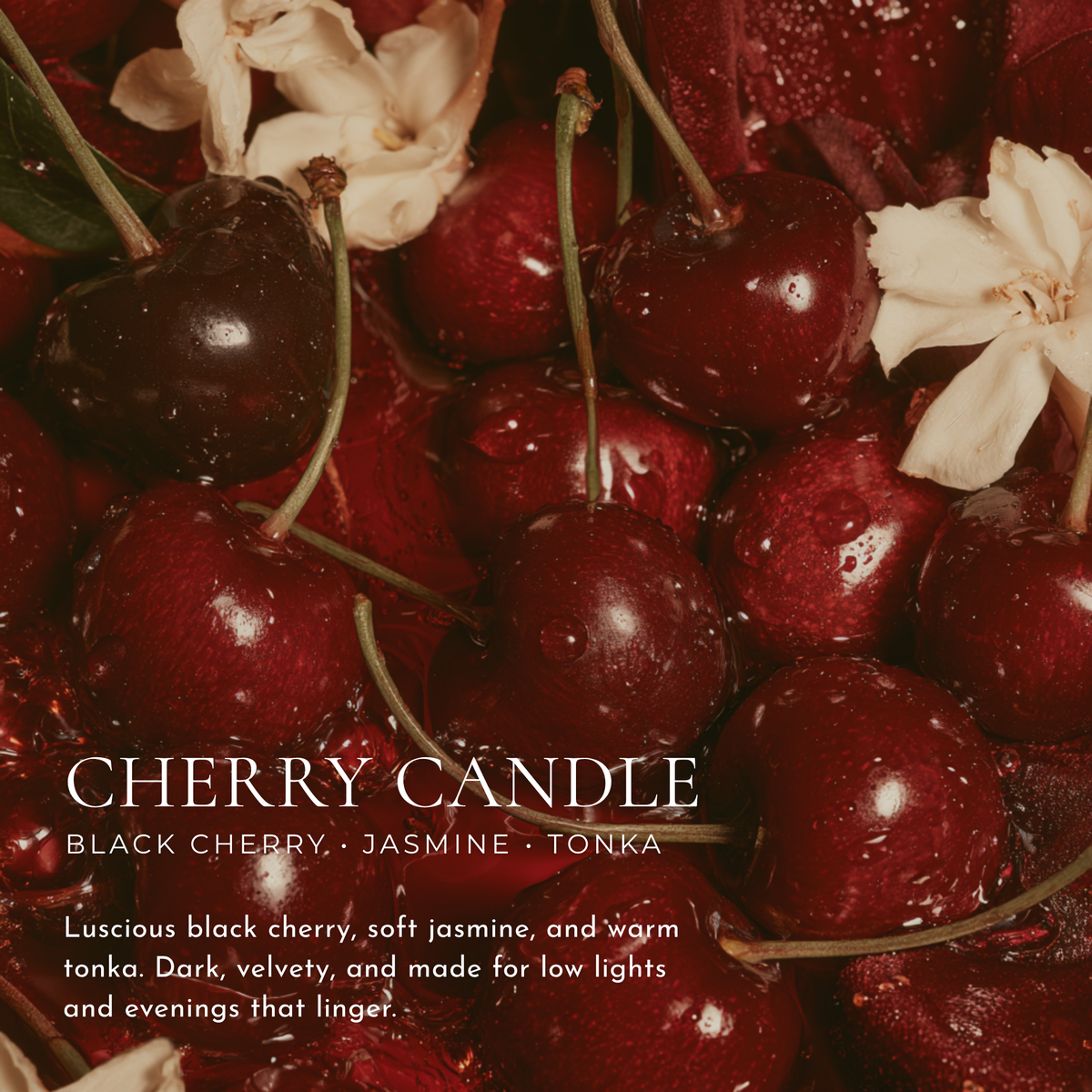 Cherry — Dark Cherry
